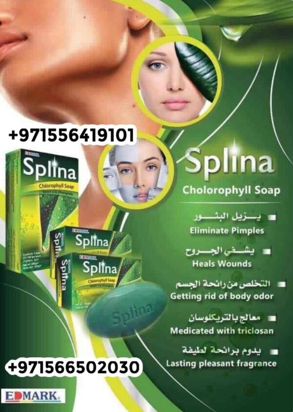 ⁦Splina Chlorophyll Soap  صابونة سبلينا كلوروفيل⁩ - الصورة ⁦2⁩