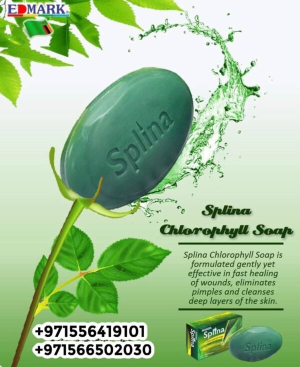 ⁦Splina Chlorophyll Soap  صابونة سبلينا كلوروفيل⁩ - الصورة ⁦6⁩