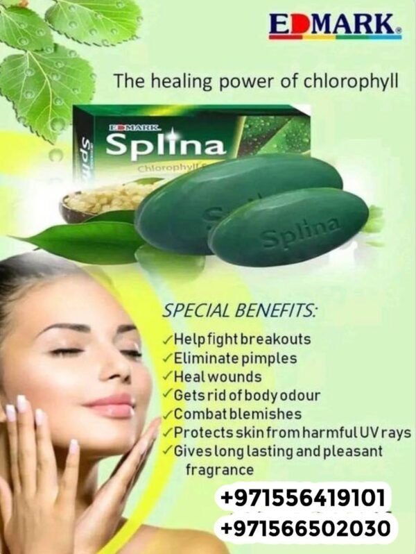 ⁦Splina Chlorophyll Soap  صابونة سبلينا كلوروفيل⁩ - الصورة ⁦8⁩