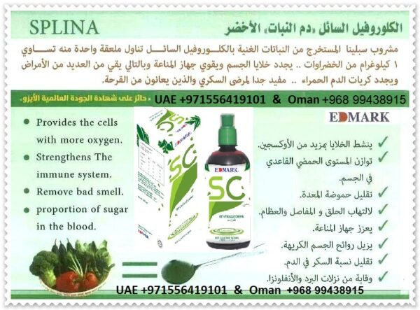 ⁦SC Splina Liquid Chlorophyll  سائل سبلينا كلوروفيل⁩ - الصورة ⁦10⁩