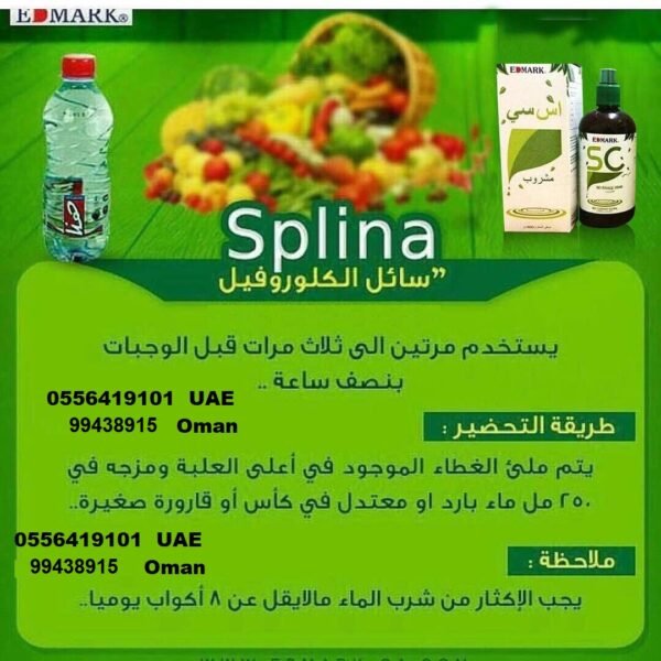 ⁦SC Splina Liquid Chlorophyll  سائل سبلينا كلوروفيل⁩ - الصورة ⁦13⁩